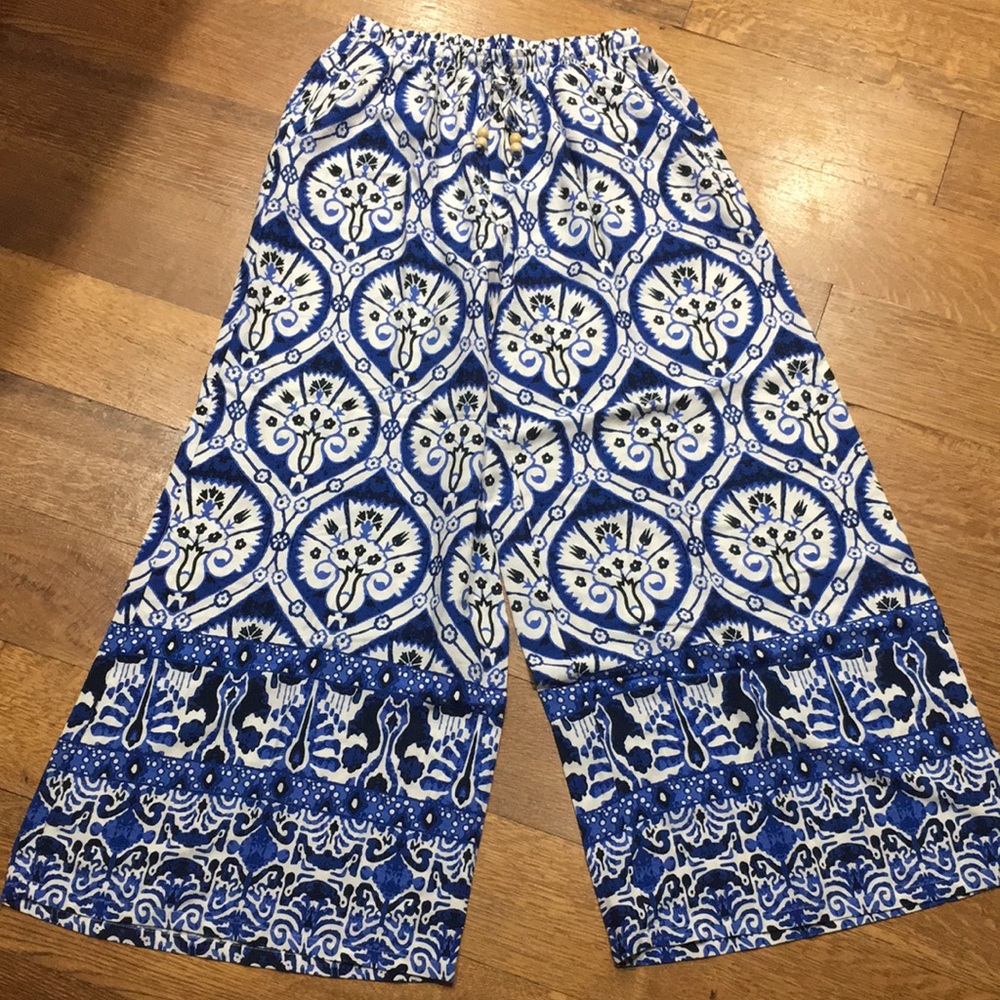 Haute Hippie Wide-Leg Pants size Small